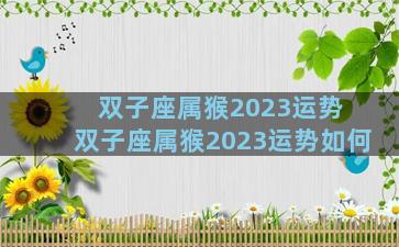 双子座属猴2023运势 双子座属猴2023运势如何